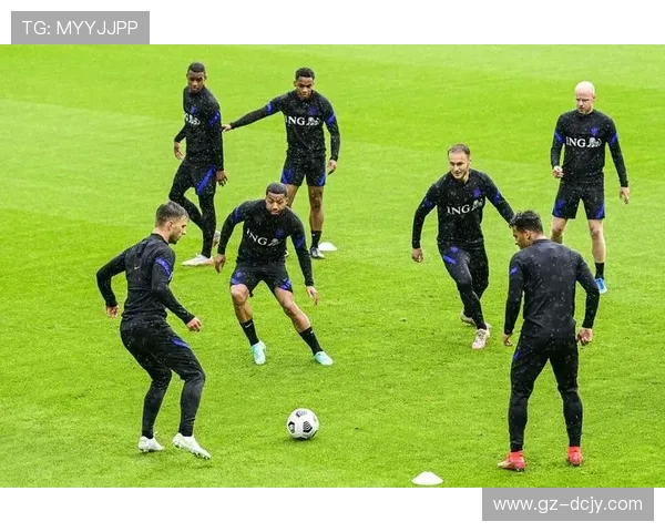 内尔高谈携手热苏斯全力备战赛